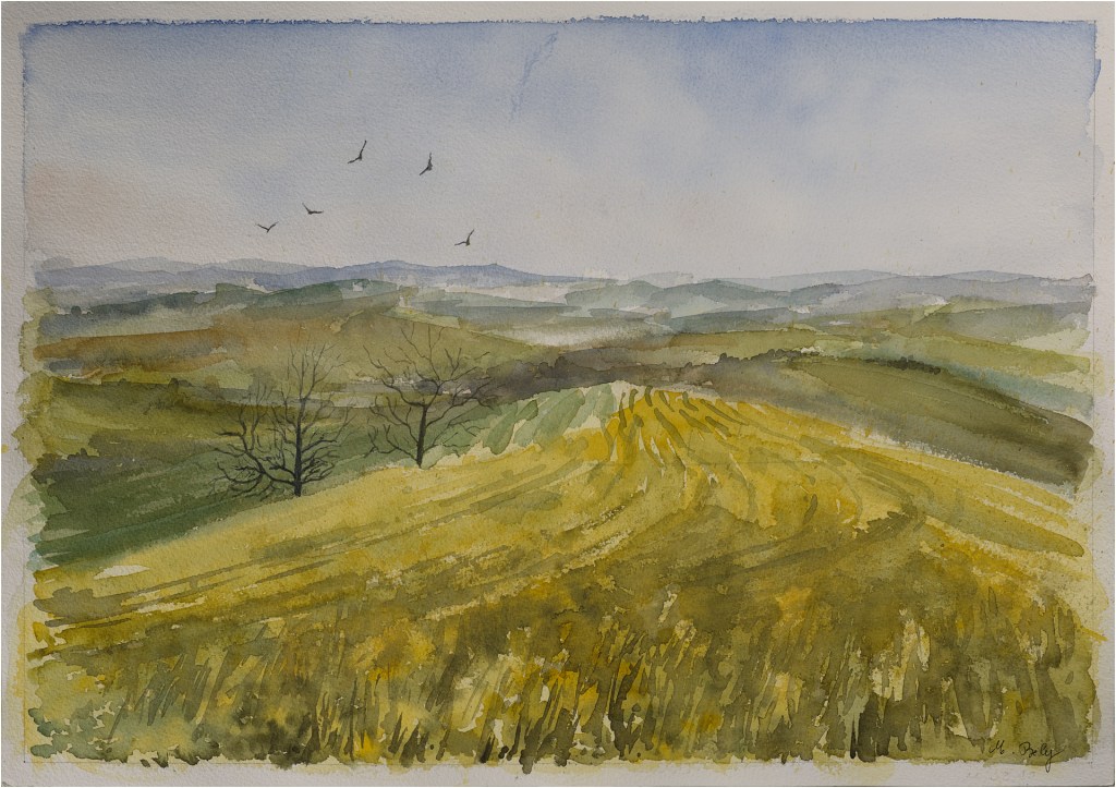 Sans Titre 36x59 Aquarelle par Ambre B